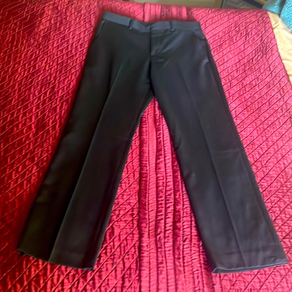 Express Men Slacks 30 x 30